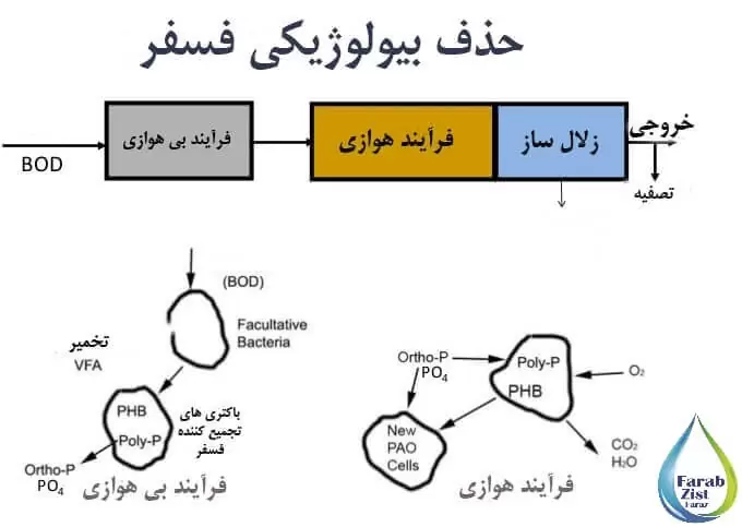 روشهای حذف فسفر از فاضلاب